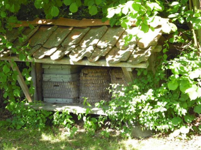 Landhaus Kiesow Suderburg Exterior photo